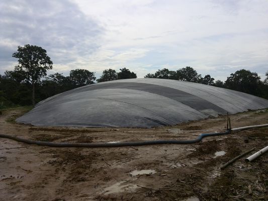 Resistenza ai raggi UV Hdpe Geomembrane Liner Pond Liner per piscina di stoccaggio di biogas