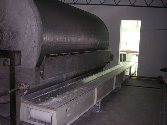 Filtro d'asciugamento dal tamburo rotante di area del macchinario 20m2 dell'amido SS304