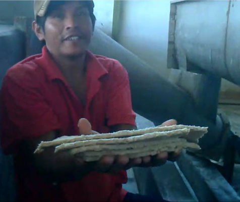 Allacci l'impianto di lavorazione della farina della macchina utensile/manioca della farina della manioca della stampa