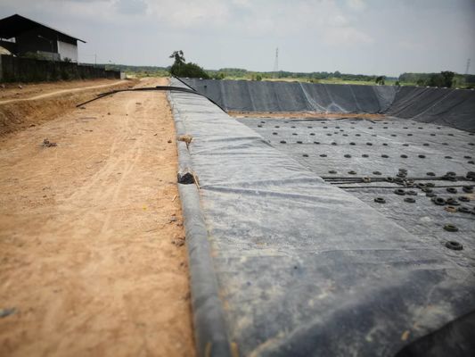 Fodera agricola dello stagno dell'anti di perdita 2mm dell'HDPE di Geomembrane bacino idrico della diga
